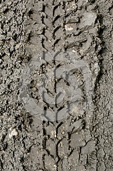 Trace of tires on a dirt road closeup