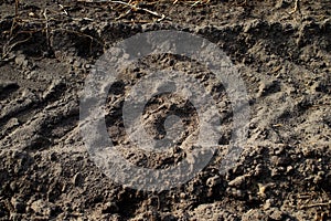 Trace of tracklaying tractor