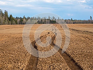 A trace of a tractor on a collective farm plowed field. Arable land in front of the forest. Landscape with agricultural land,