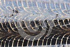 trace of the tread on snow machines