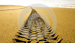 Trace of wheels on the sand