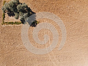 Traces of agricultural machinery in the field aerial view