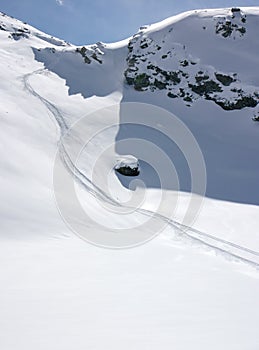 Traces in alpine fresh snow