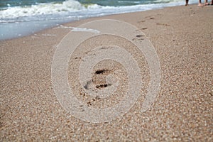 Traces of bare feet on wet sea sand