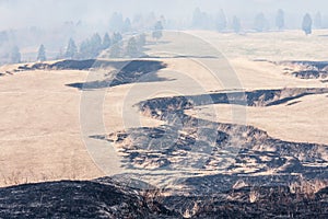 Traces of controlled grass burning