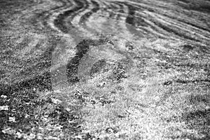 Traces of farm tractor on meadow landscape background