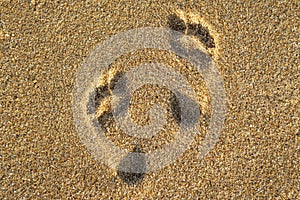 Traces of feet on the beach yellow sand. Footprints on the beach