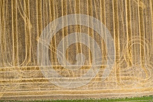 Traces on a harvested grain field