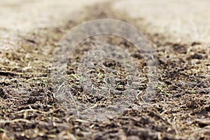 Traces of a heavy car on a wasteland in the spring.