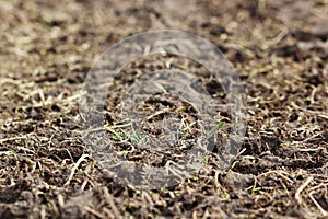 Traces of a heavy car on a wasteland in the spring.