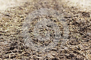 Traces of a heavy car on a wasteland in the spring.