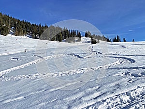 Traces of large hearts in alpine snow on the slopes of the Alpstein mountain range and in Appenzell Alps massif, Unterwasser