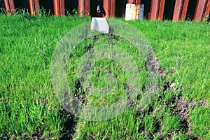 Traces on the lawn from streams of water. A drain pipe in the background