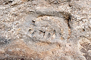 Traces  of the life of primitive man in the national reserve - Nahal Mearot Nature Preserve, near Haifa, in northern Israel