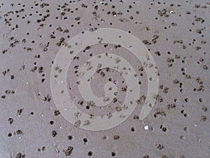 Traces in sand of a beach, holes and sand ejection of lugworms. Image also well suited as texture