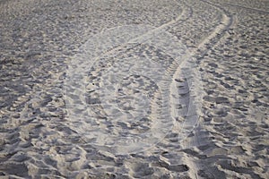 Traces in the sand of Rio de Janeiro photo