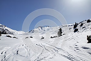 Traces of skis and snowboards in the snow, on freeride track Karakol ski resort. Mountain scenery landscape, Kyrgyzstan