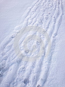 Traces In Snow