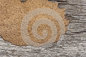 Traces of termites eat wood,animals that destroy wood