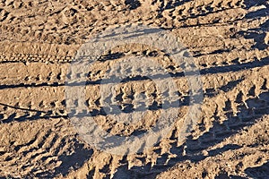 Traces of tire treads on loose soil in the rays of the setting sun. Background