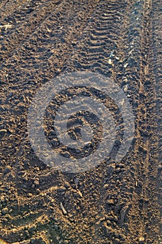 Traces of tires in dry land