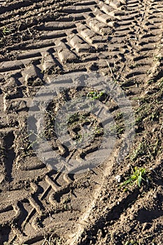 Traces of a tractor or other large machinery on the soil in the field