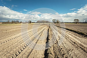 Traces of tractor wheels on a plowed field, dirt road, horizon and clouds on a blue sky