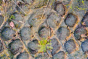 Traces from tread of car on mud ground. Tire tread on dirt ground