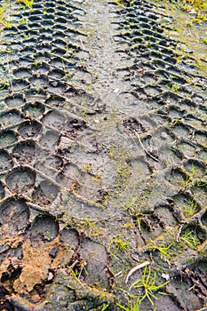 Traces from tread of car on mud ground. Tire tread on dirt ground