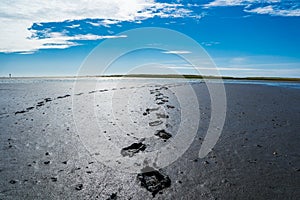 Traces in the Wadden Sea