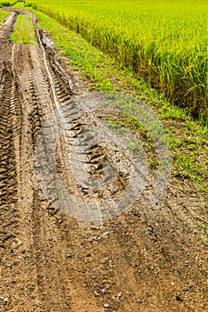 Traces wheel