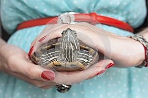 Trachemys scripta. Freshwater red eared turtle in woman hands
