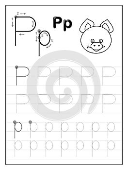 Tracing alphabet letter P. Black and white educational pages on line for kids. Printable worksheet for children textbook.