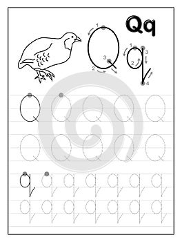 Tracing alphabet letter Q. Black and white educational pages on line for kids. Printable worksheet for children textbook.