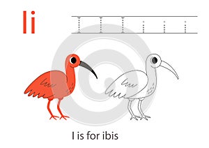 Tracing alphabet letters with cute animals. Color cute scarlet ibis. Trace letter I.