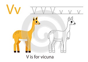 Tracing alphabet letters with cute animals. Color cute vicuna. Trace letter V.