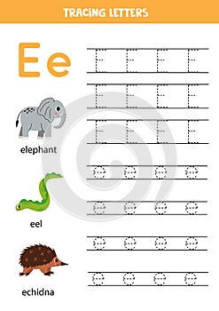 Tracing alphabet letters for kids. Animal alphabet. Letter e is for elephant eel and echidna.