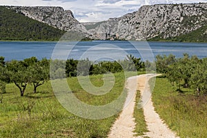 Track across an olive tree orchard in Krka national park in Croatia.