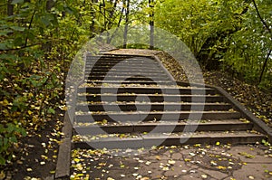 Track in autumn park