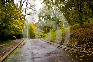 Track in autumn park