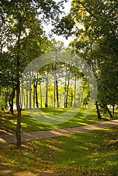 Track in autumn park