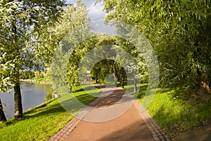 Track in autumn park on the beach