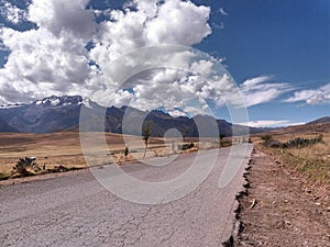 track close to yellow and snowy meadow photo