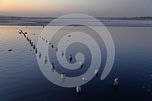 Track of columns in salty Kuyalnik Estuary