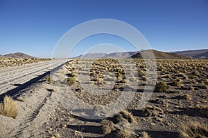 Track through Farallon de Tara photo