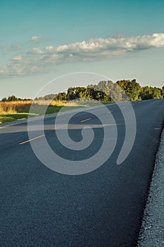 A track with fresh asphalt and a yellow dividing strip. Green grass grows on the side of the road. Summer landscape on a