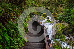 Track at Lake Marian fall located in the Fiordland National Park, Milford sound, New Zealand