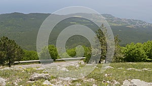 Track landscape panoramic wood trees mountains