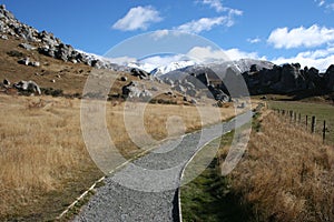 A track leads to the mountains in New Zealand.