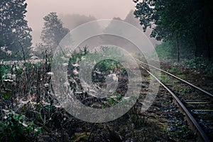 Track of narrow gauge railway in the Lublin region.